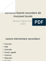 Elemente Lezante Secundare Ale Mucoasei Bucale