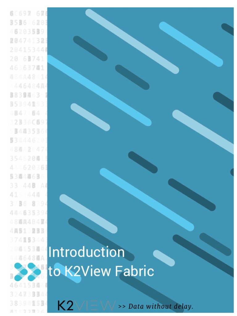 1.0.2 Intro To K2View Fabric White Paper Autosaved PDF Databases