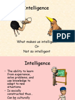 Intelligence: What Makes Us Intelligent or Not So Intelligent