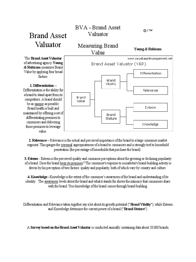 Brand Asset Valuator | PDF | Brand | Marketing