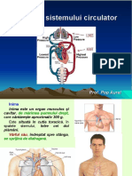 Lectie 23 Anatomia Sistemului Circulator.