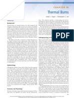 Thermal Burns: Principles