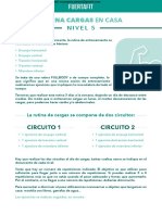 PDF FUERTAFIT - CARGAS CASA Nivel 5 PDF