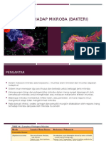 Imunitas Terhadap Mikroba (Bakteri)