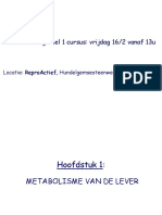 15 - Februari Kopie PDF