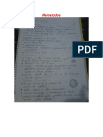 Nematodos PDF