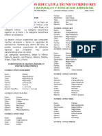 Grado 9° Categorias Taxonomicas de La Clasificación