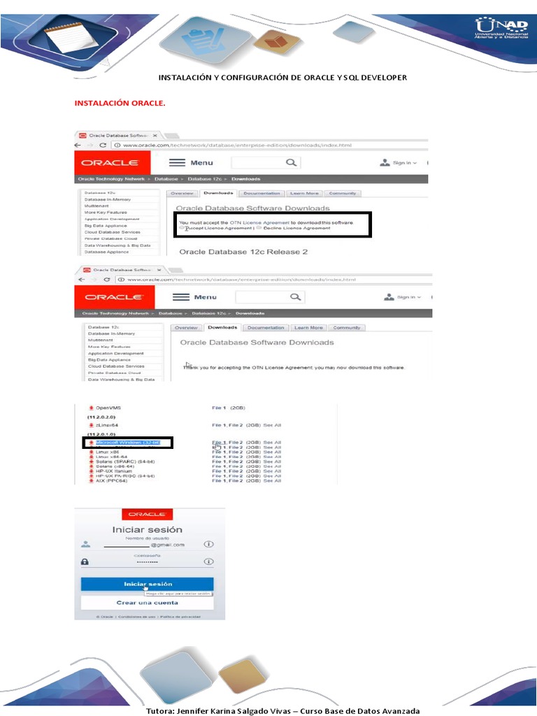 Guía de Oracle y SQL Developer | PDF | Informática