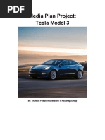 Media Plan Project - Tesla Model 3