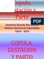 Copulagestacinyparto 130319054343 Phpapp01 PDF