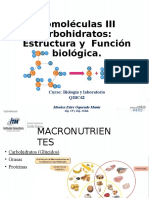 Biomoleculas III (Carbohidratos, Metabolismo, Ciclo de Krebs)