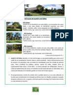 DETALLES DE QUINTA VICTORIA v4(1).pdf