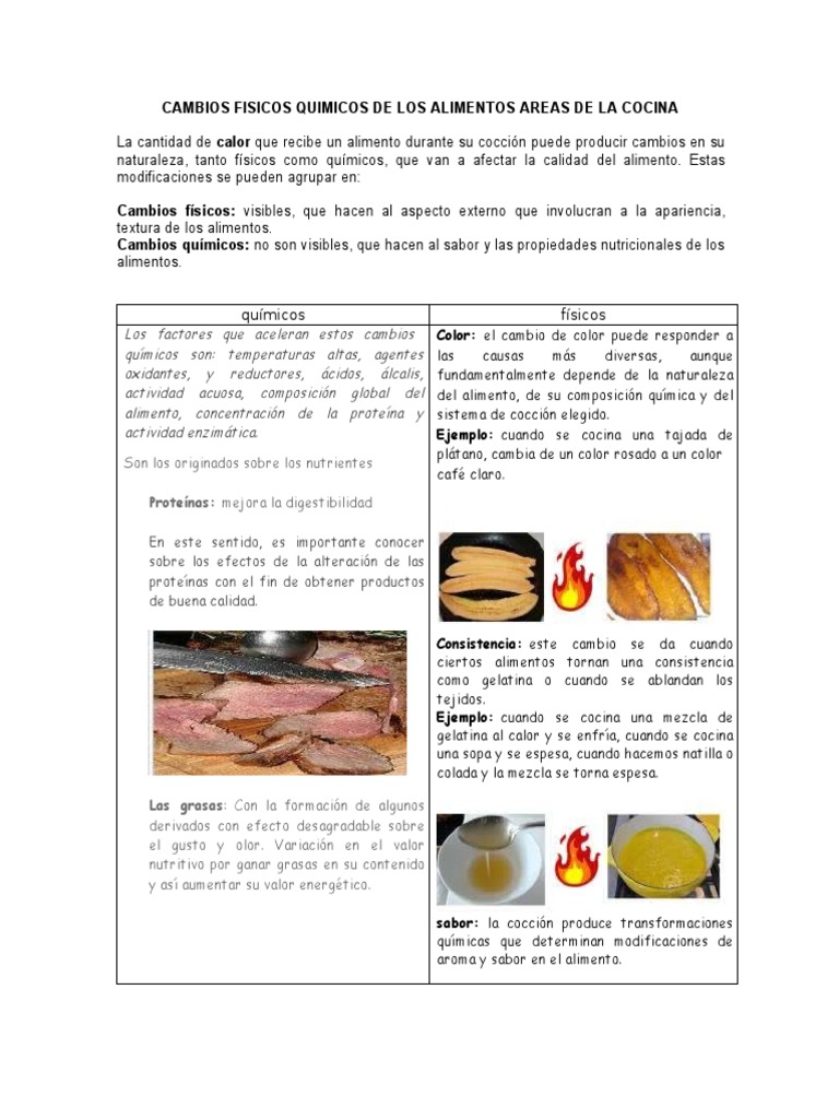 Cambios Físicos y Químicos en Alimentos | PDF | Petróleo | Alimentos