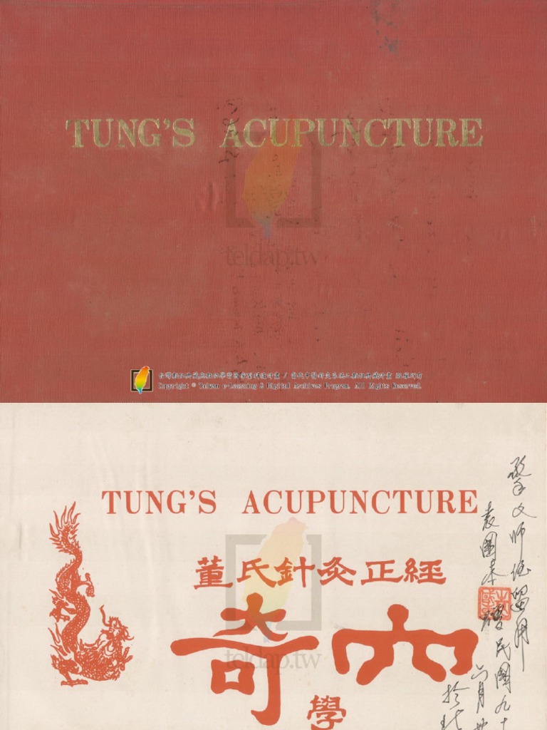 Tung's Acupuncture Master Tung PDF PDF
