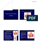 Anatomie Myo Membre Sup PDF