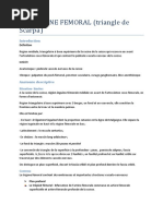 Anatomie du Triangle de Scarpa | PDF | Anatomie de membre inférieur ...