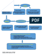 Mapa Conceptual