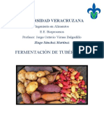 Fermentación de Tubérculos