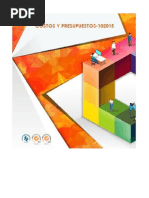 Simulador Presupuestos Resueltos