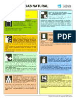 MSDS Gas Natural PDF