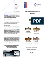 manual de pesca recreativa gbd.pdf