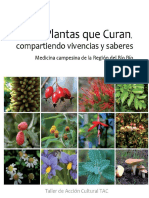 53546776-Plantas-Que-Curan.pdf