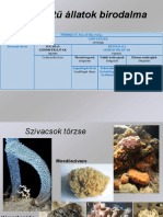 Szivacsok Csalanozok PDF