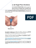 3 Ejercicios de Kegel para Hombres PDF