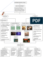 Microbiología Marco Teórico