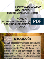 Universidad Nacional de Colombia Sede Palmira Facultad de Ciencias Agropecuarias