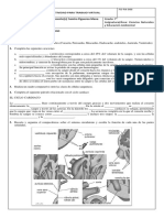 Grado 7° Ciencias Naturales Guía 1