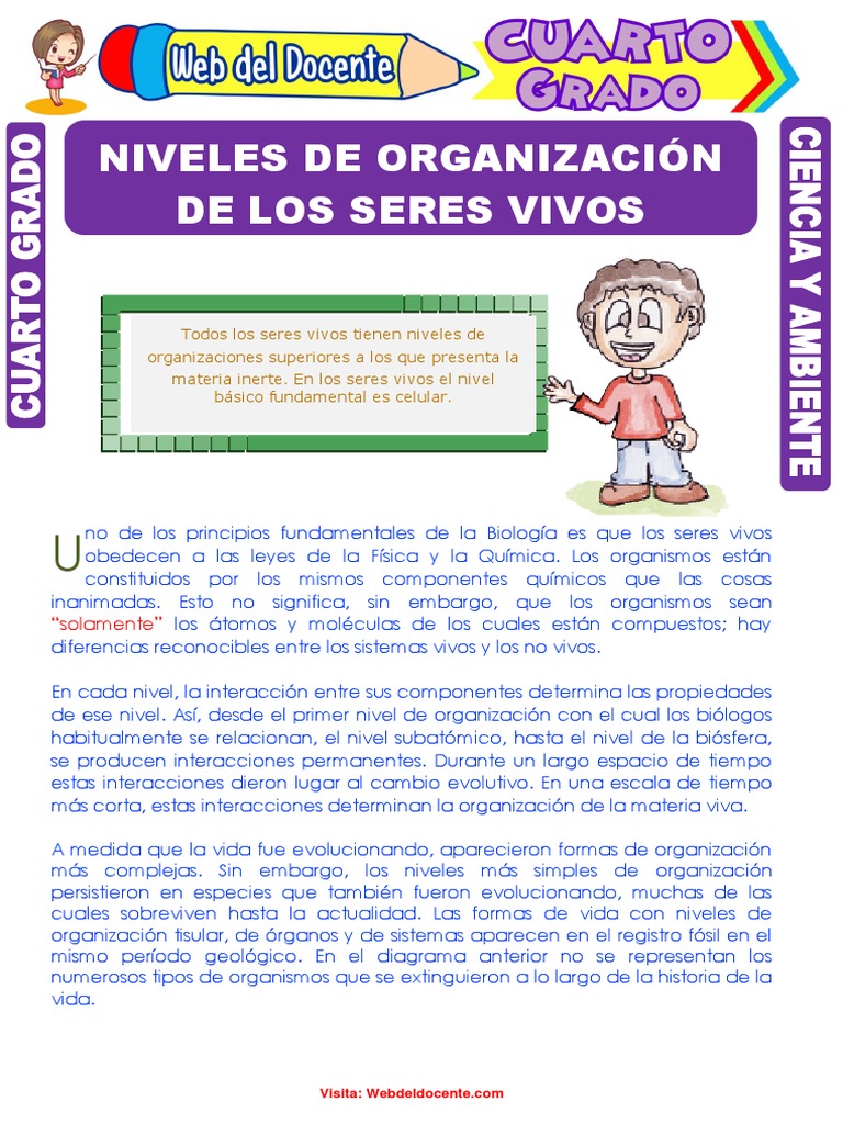 Niveles de Organización de Los Seres Vivos para Cuarto Grado de ...