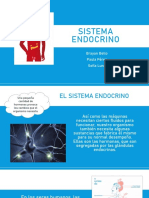 Sistema Endocrino 2.