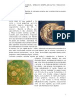 Material para Los Jardines Maternales PDF