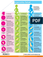 Cartilla Desarrollo Fetal