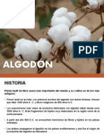 Algodon Exposición