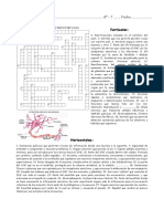 Crucigrama Sistema Nervioso PDF