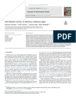 Anti-Influenza Activity of Elderberry - Sambucus Nigra