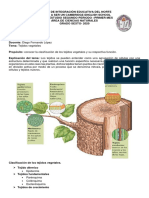 Biologia Sexto Primera Semana Segundo Periodo PDF