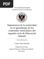 Importancia de La Motricidad en El Aprendizaje PDF
