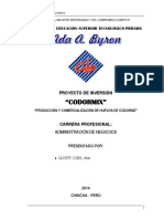 MODELO DE PROYECTO.pdf