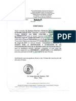 Lineamientos_para_la_Estimulacion_de_las.pdf