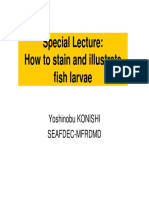 Special Lecture: How To Stain and Illustrate Fish Larvae: Yoshinobu KONISHI Seafdec-Mfrdmd