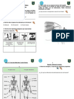 Guia de Ciencias Naturales 1 y 2 Sistema Locomotor