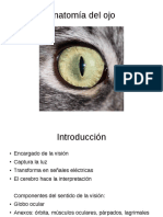 Anatomia_del_ojo_animal.pdf