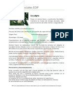 Aceites Esenciales - Eucalipto.pdf