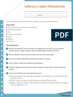 5° Armemos Cadenas y Redes Alimentarias PDF