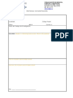 Protocolo de Investigación - Modelo Con Instrucciones