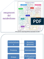 Integración Conceptos