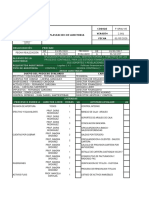 Plan de Auditoria PDF